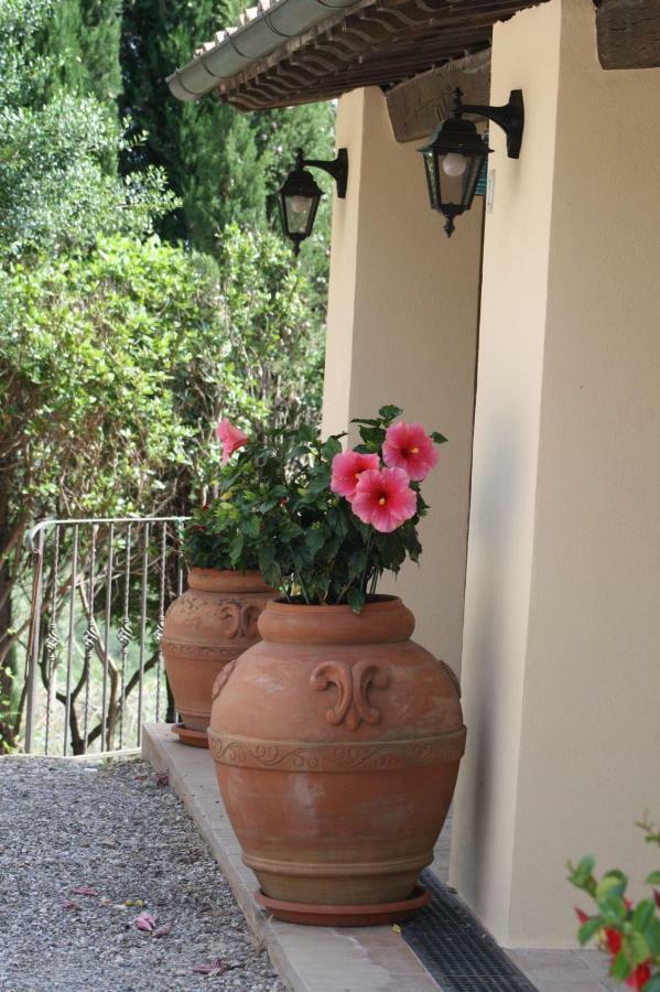 La Banditaccia Monticello Amiata Εξωτερικό φωτογραφία