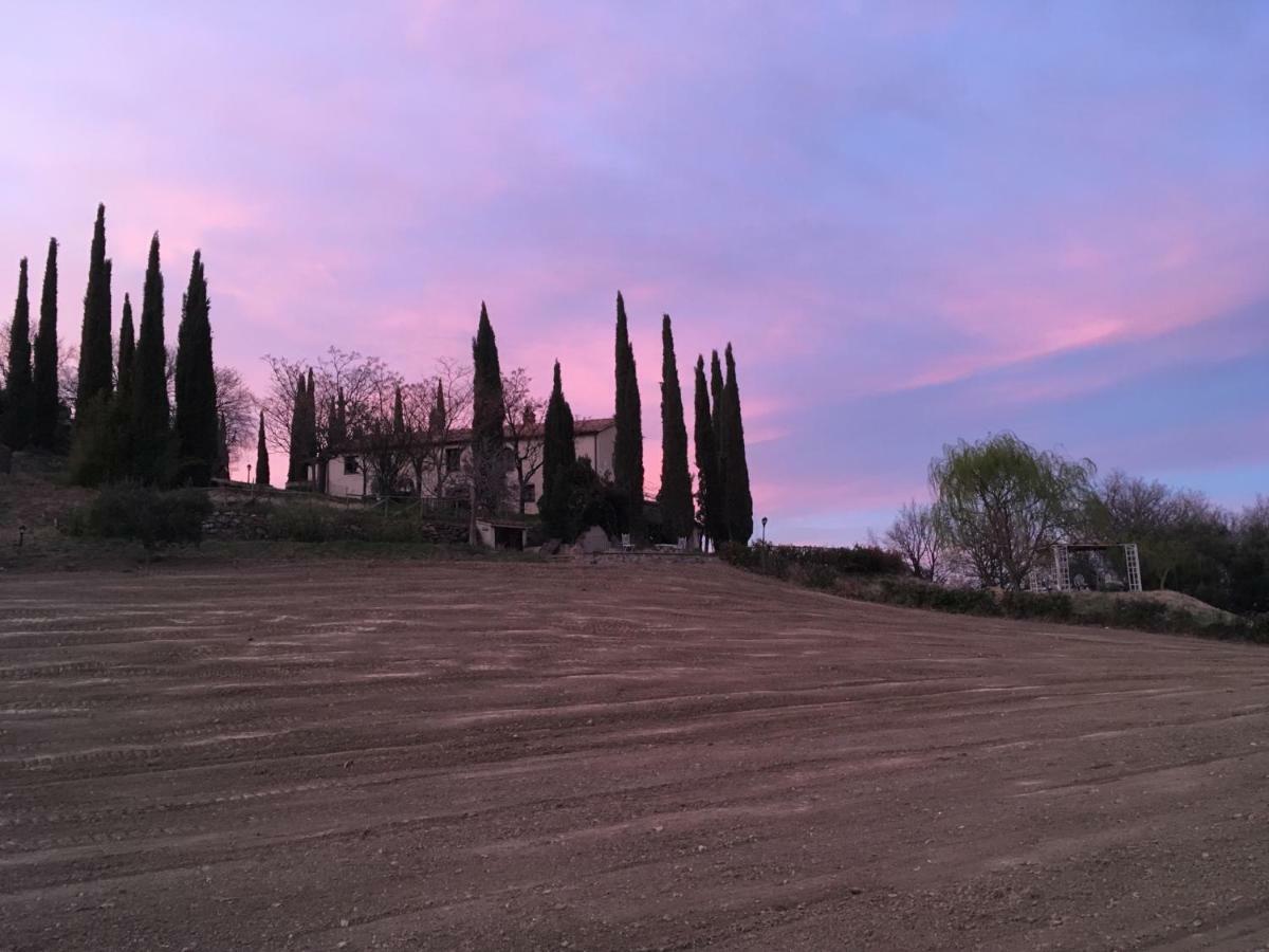 La Banditaccia Monticello Amiata Εξωτερικό φωτογραφία