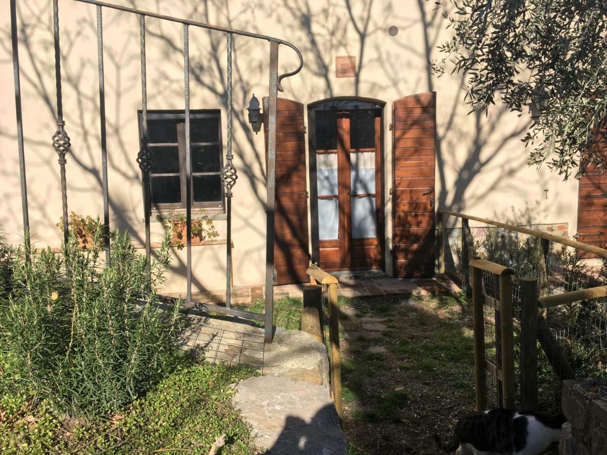 La Banditaccia Monticello Amiata Εξωτερικό φωτογραφία