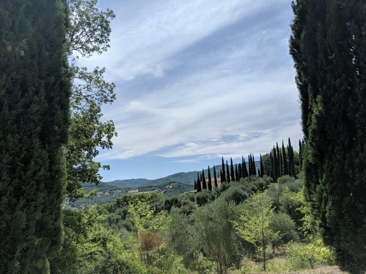 La Banditaccia Monticello Amiata Εξωτερικό φωτογραφία