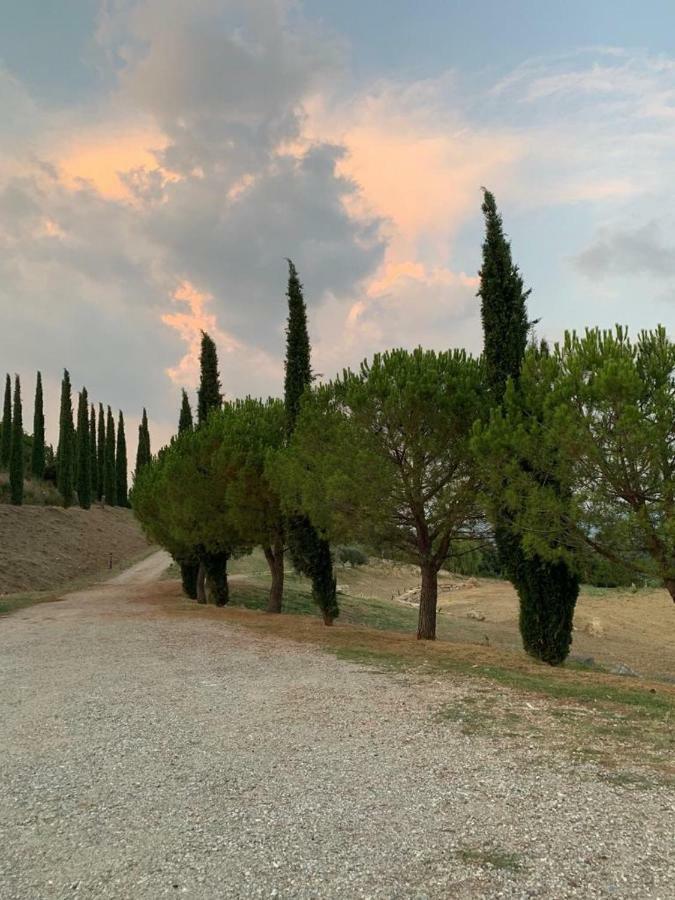 La Banditaccia Monticello Amiata Εξωτερικό φωτογραφία